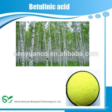 Natürliches Betulin Weißes Birkenextraktpulver / Betulin / Betulinsäure